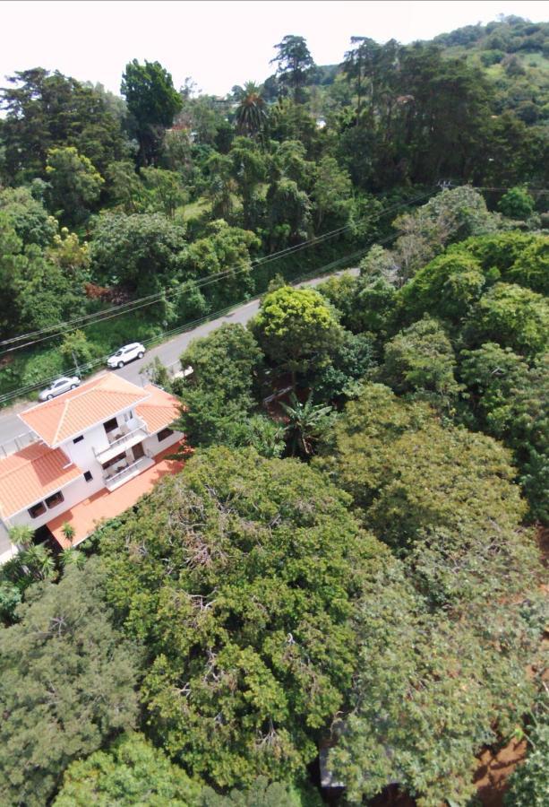 Casa Geranios Studio #3 Monteverde Exterior foto